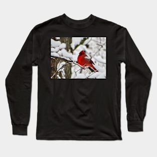 Winter Cardinal Long Sleeve T-Shirt